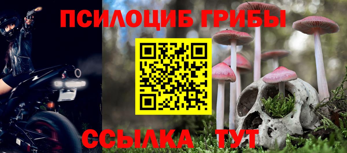 Анжеро-Судженск  Галлюциногенные грибы MAGIC MUSHROOMS  Вход с VPN 